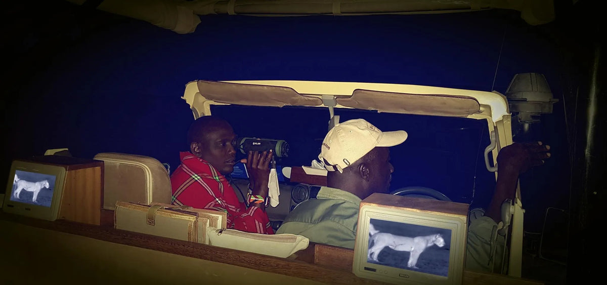 Night Game Drive