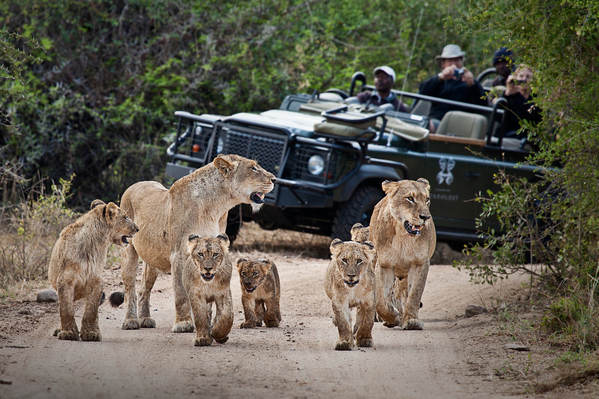Game Drives 