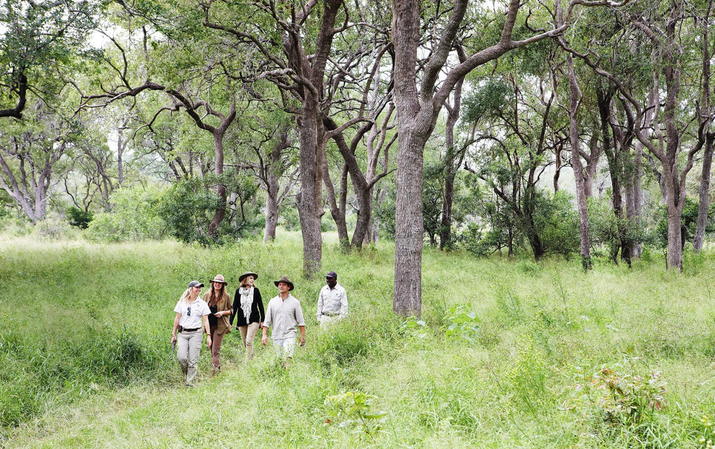 On safari at Londolozi at Londolozi Private Granite Suites, Londolozi Game Reserve, South Africa.