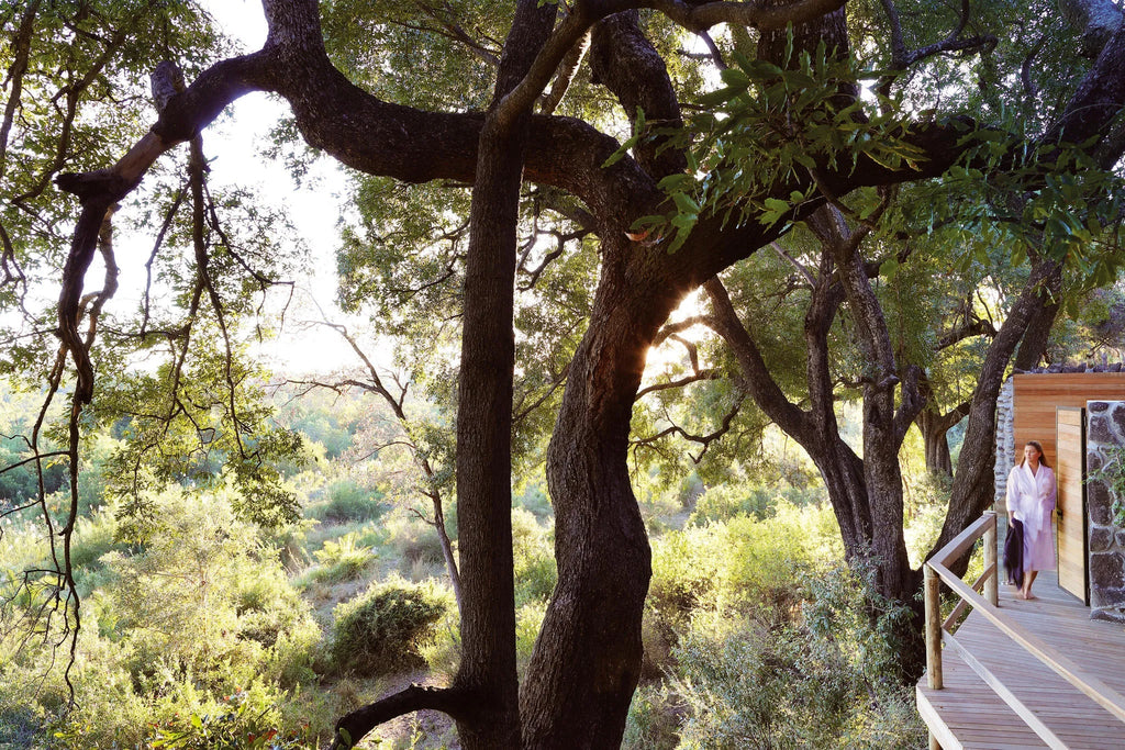 Gallery image 8.