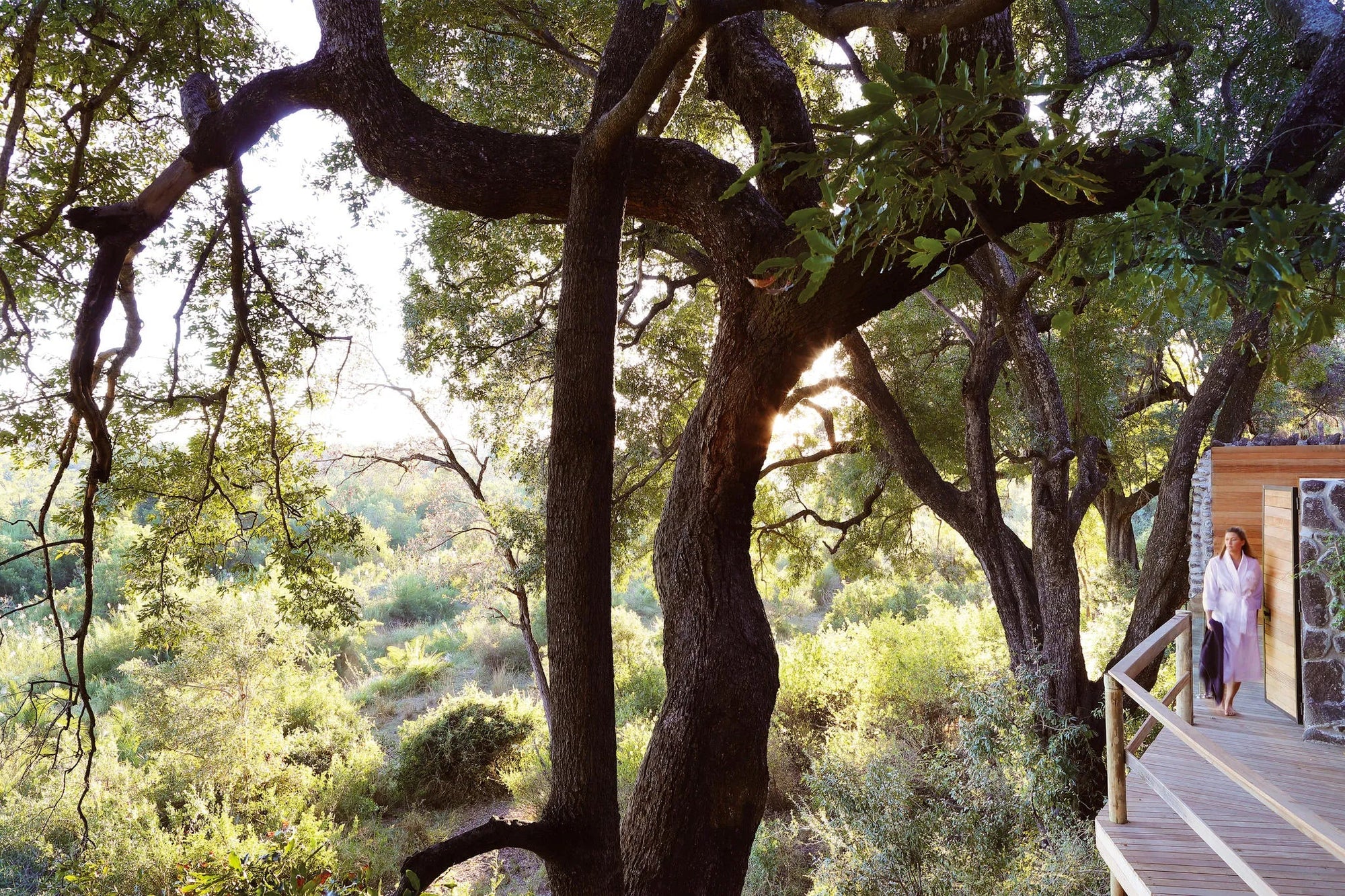 Gallery image 8.