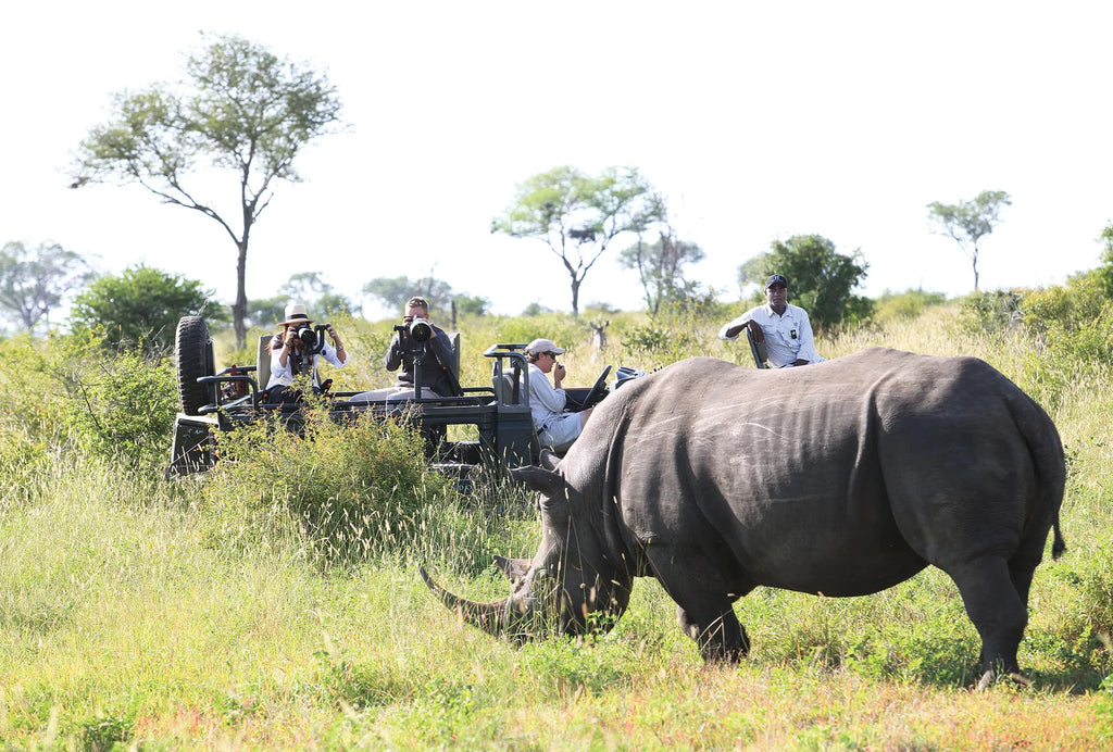 Rhino on game drive at Londolozi Private Granite Suites, Londolozi Game Reserve, South Africa.