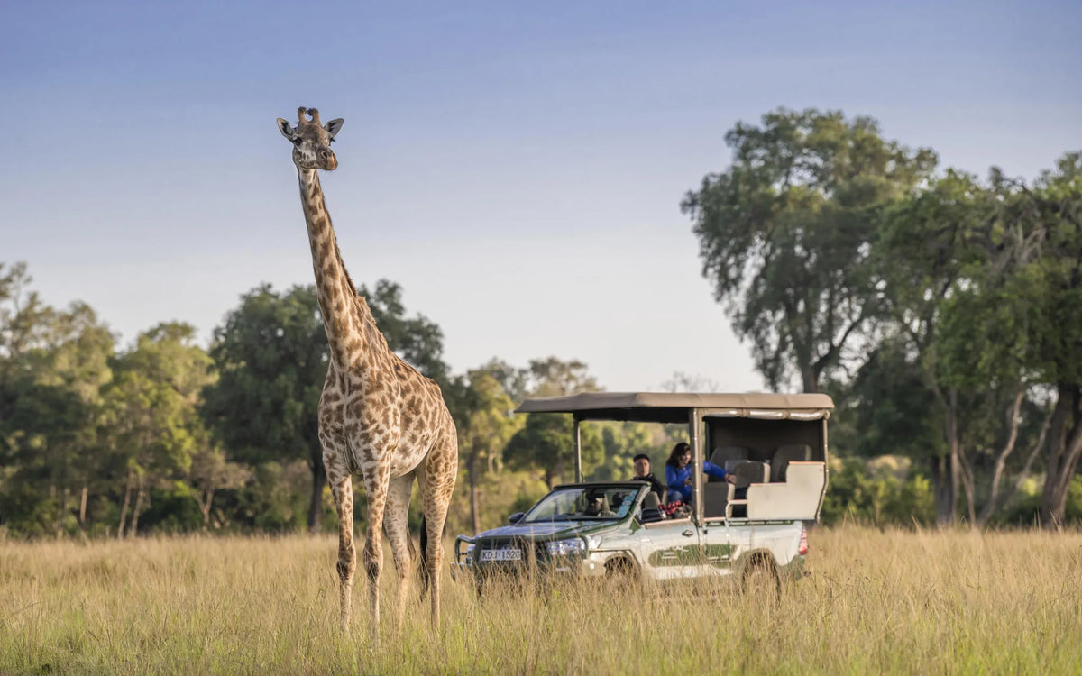 Governors' Camp river tent at Governors' Camp, Masai Mara National Reserve, Kenya.