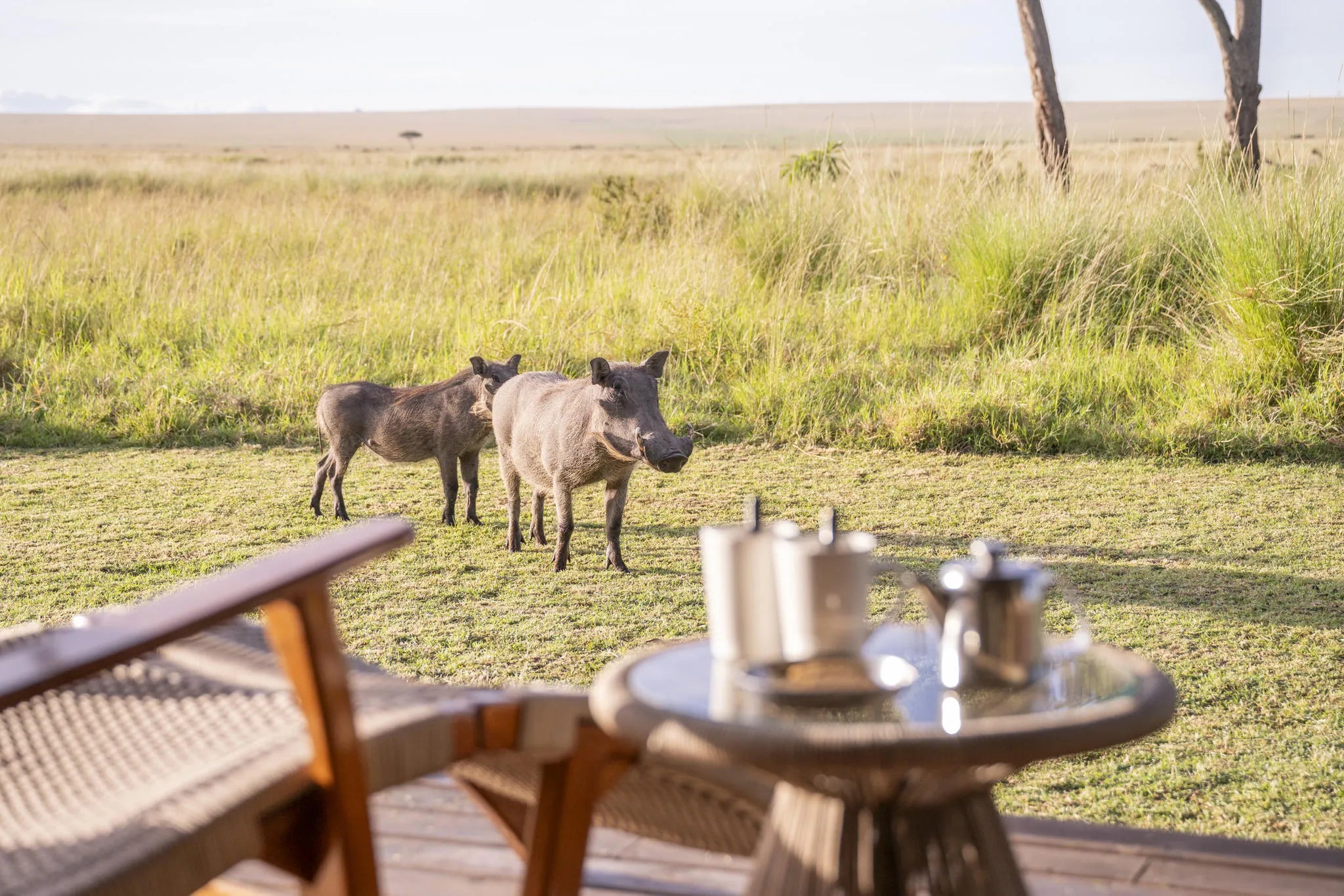 Governors' Camp Family Tent at Governors' Camp, Masai Mara National Reserve, Kenya.
