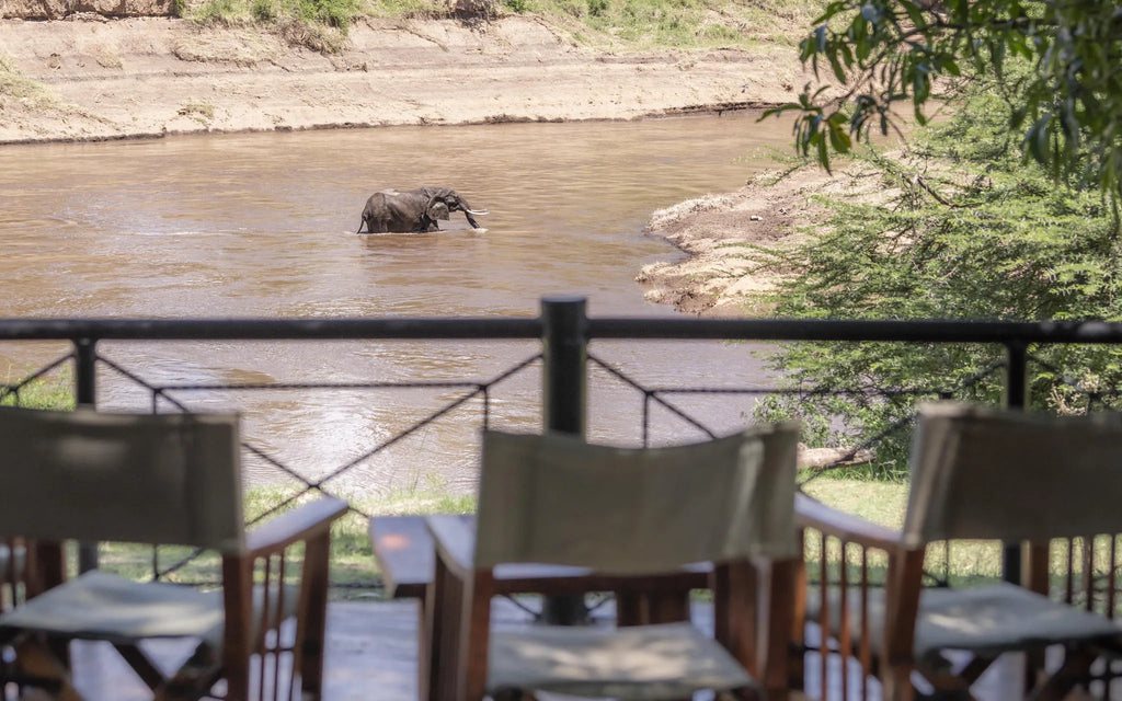 Felix Rome at Governors' Camp, Masai Mara National Reserve, Kenya.