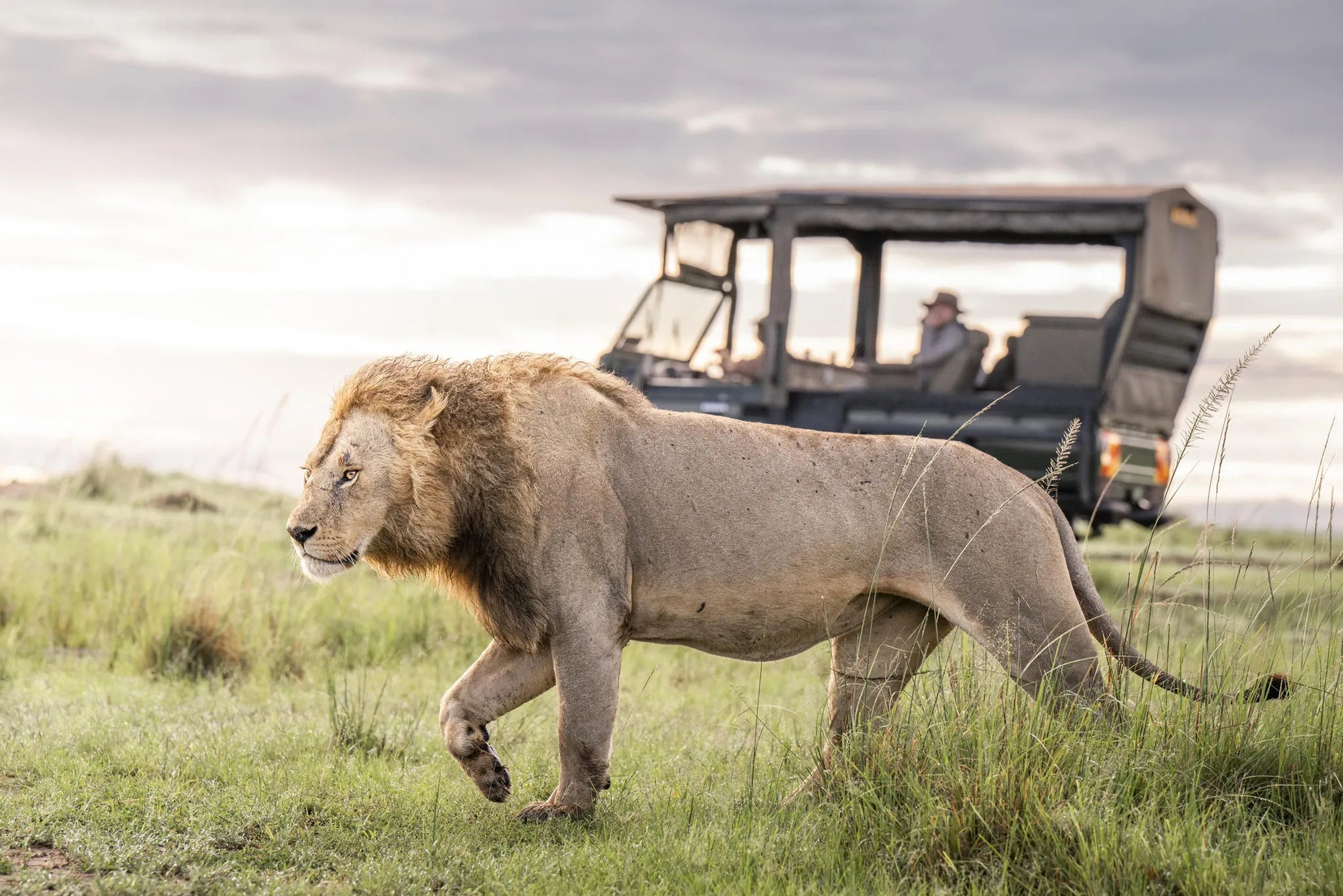 Governors' Il Moran Camp at Governors' Il Moran Camp, Masai Mara National Reserve, Kenya.