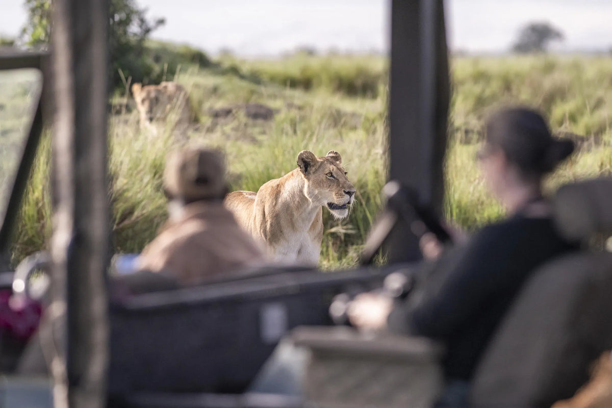 Governors' Il Moran Camp at Governors' Il Moran Camp, Masai Mara National Reserve, Kenya.