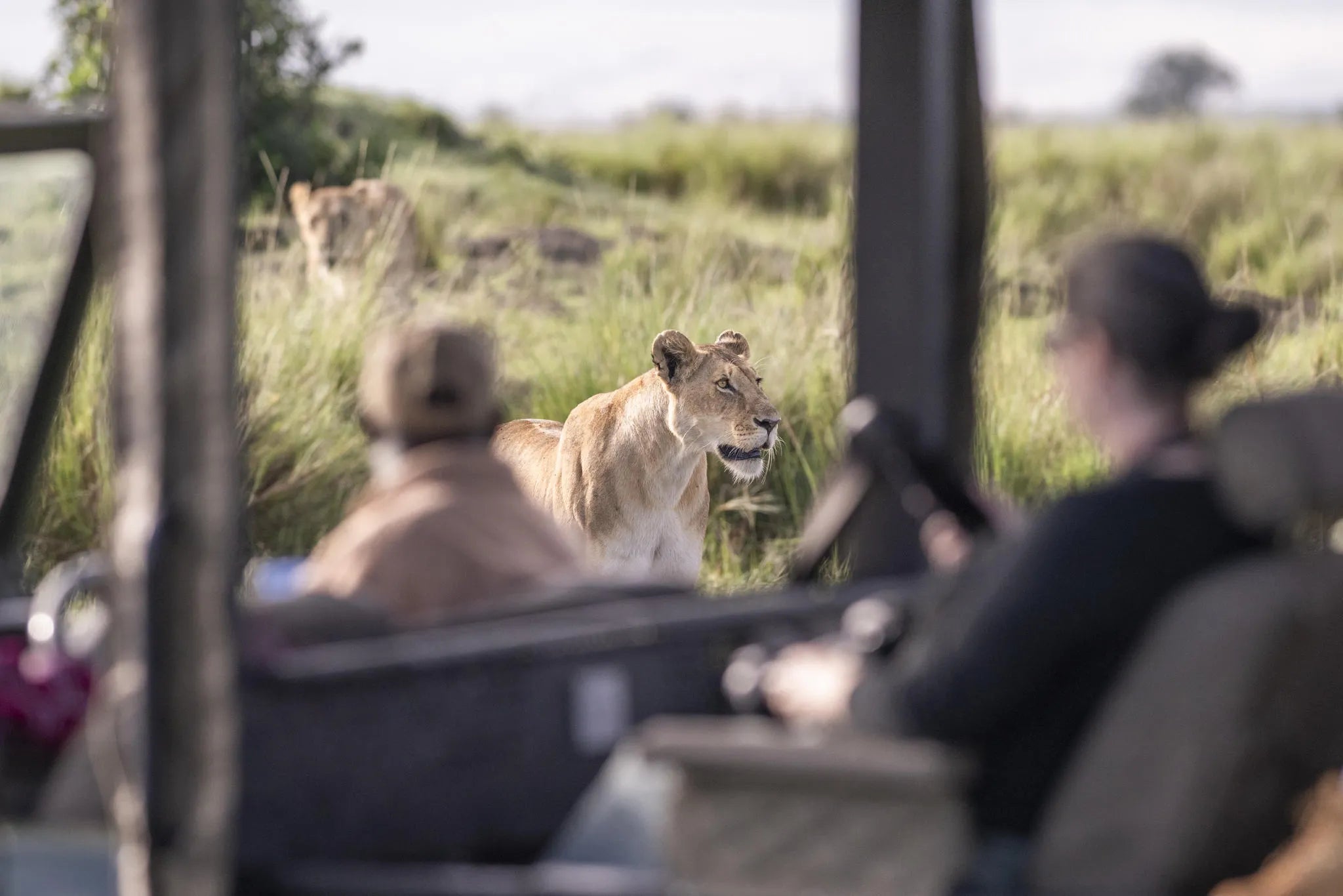 Governors' Il Moran Camp at Governors' Il Moran Camp, Masai Mara National Reserve, Kenya.