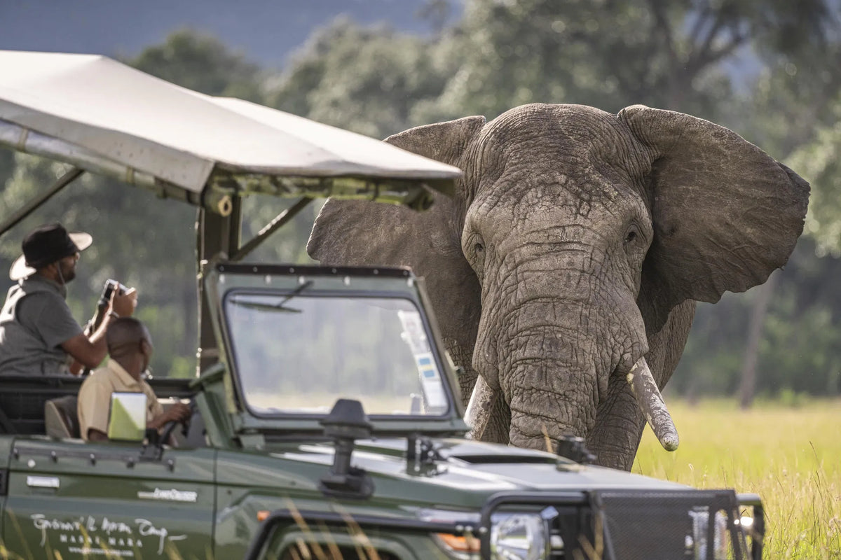 Governors' Il Moran Camp at Governors' Il Moran Camp, Masai Mara National Reserve, Kenya.