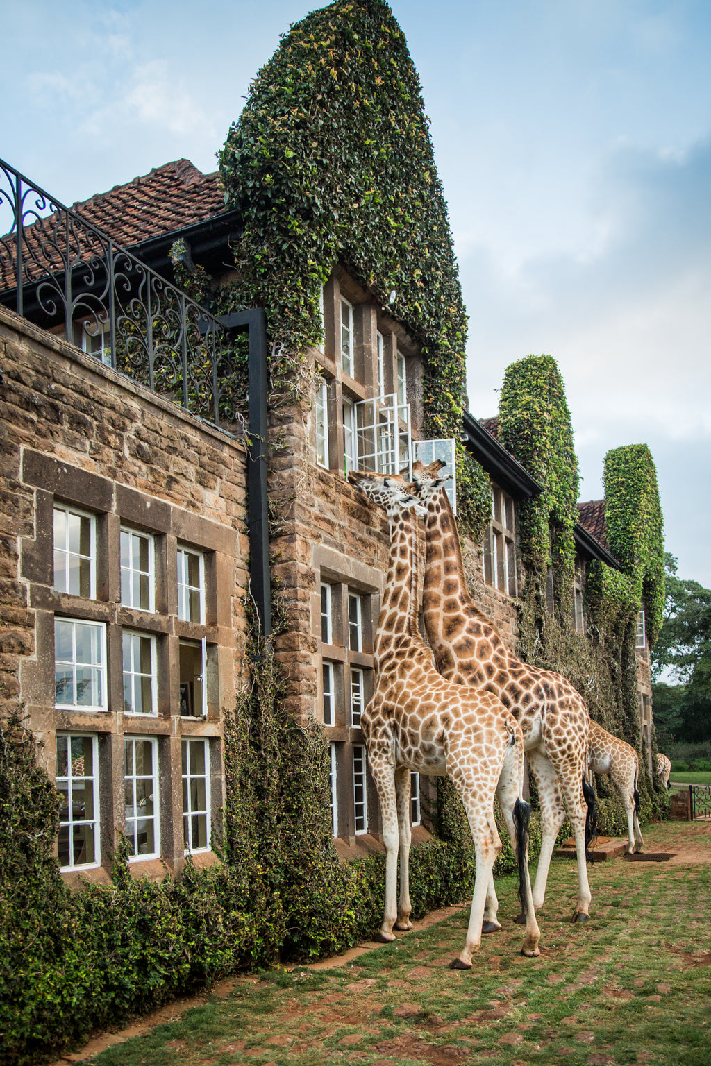 Giraffe Manor