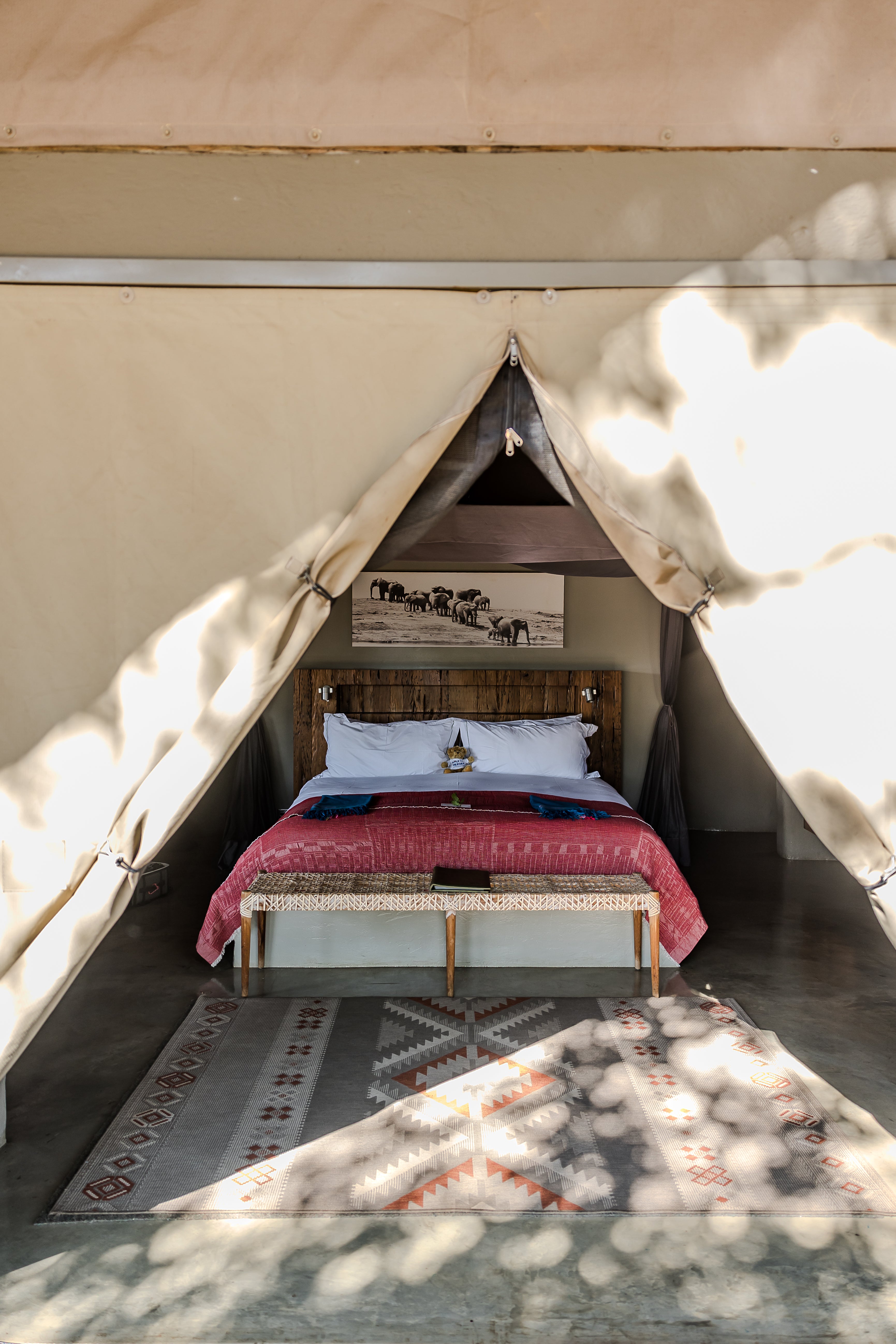 Safari Camp