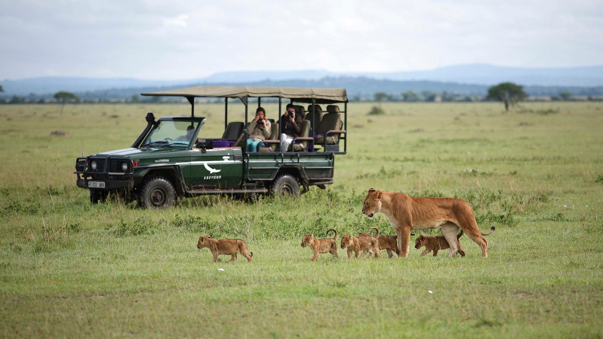 Private vehicle safari (Additional cost)