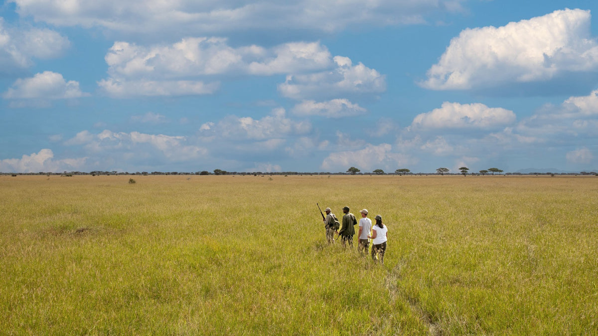 Guided Nature Walk (Additional Cost)