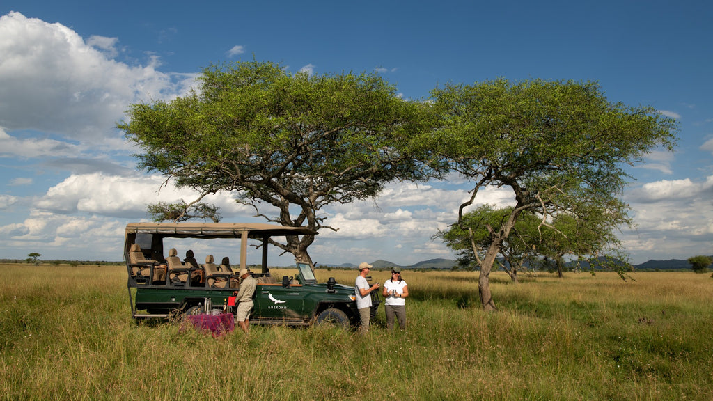 Private vehicle safari (Additional cost)