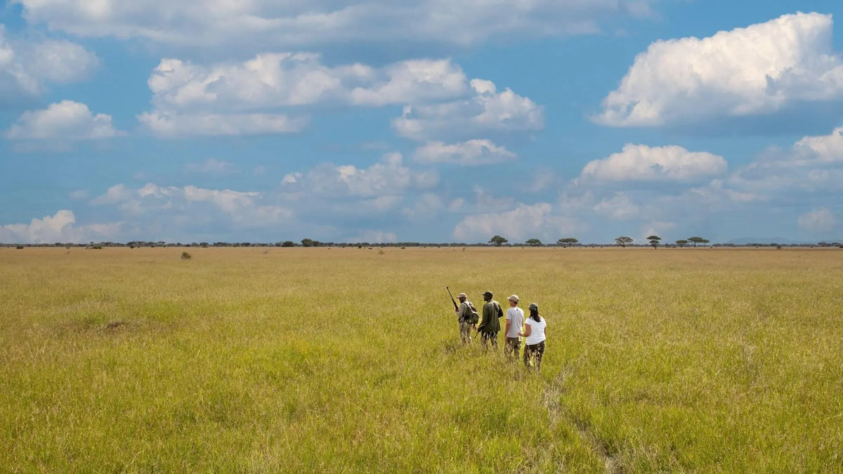 Guided Nature Walk (Additional Cost)