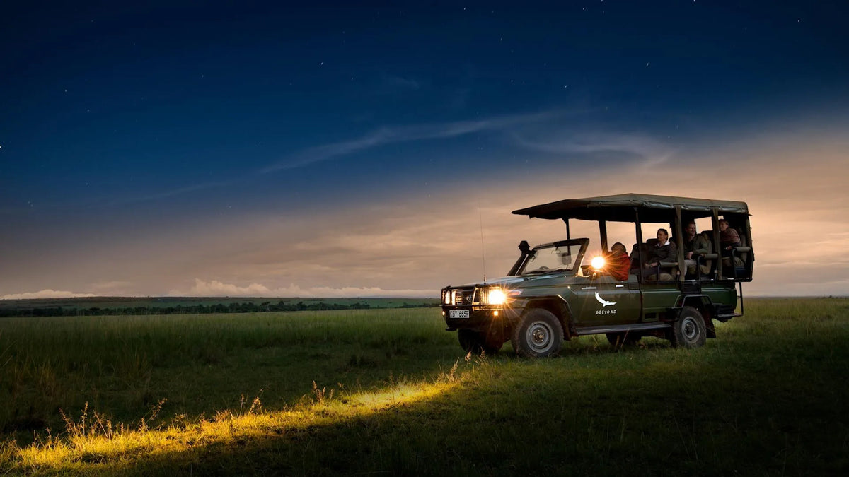 Night Game Drives (included)