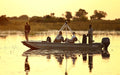 Featured image.