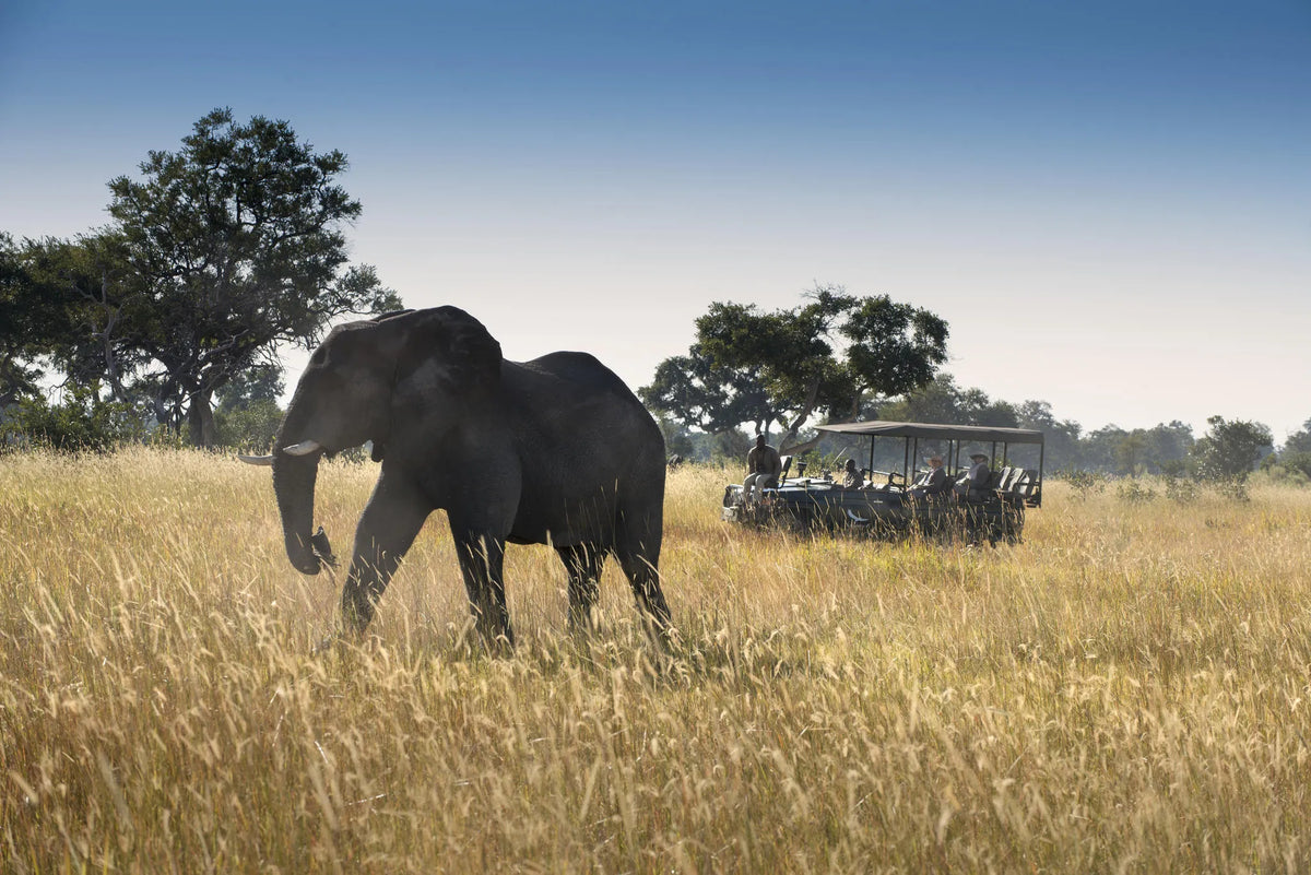 Xaranna Okavango Delta Camp at andBeyond Xaranna Okavango Delta Camp, Okavango Delta, Botswana.