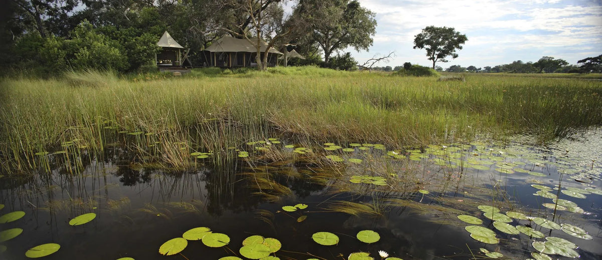 Xaranna Okavango Delta Camp at andBeyond Xaranna Okavango Delta Camp, Okavango Delta, Botswana.