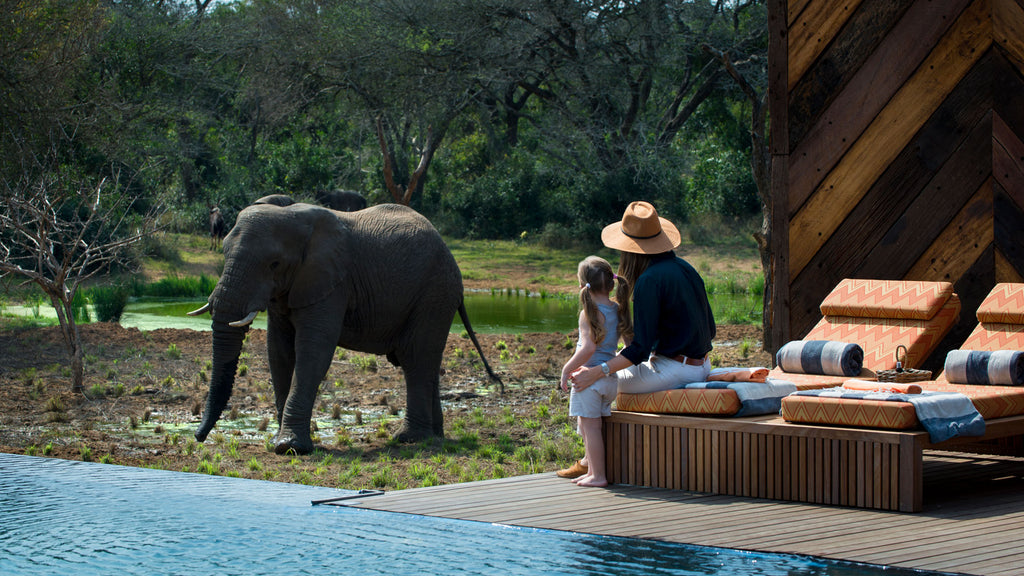 andBeyond Phinda Homestead