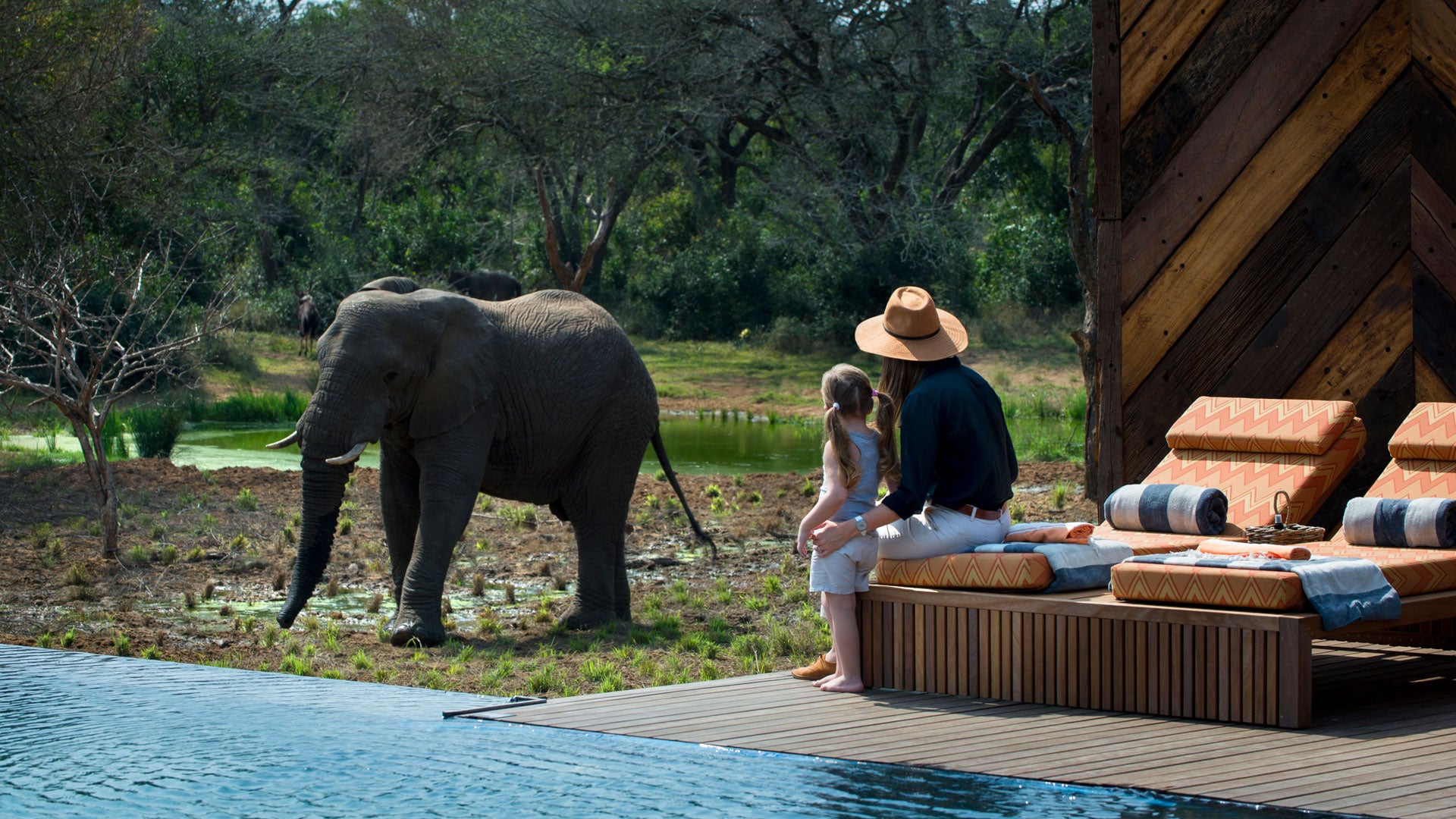 andBeyond Phinda Homestead