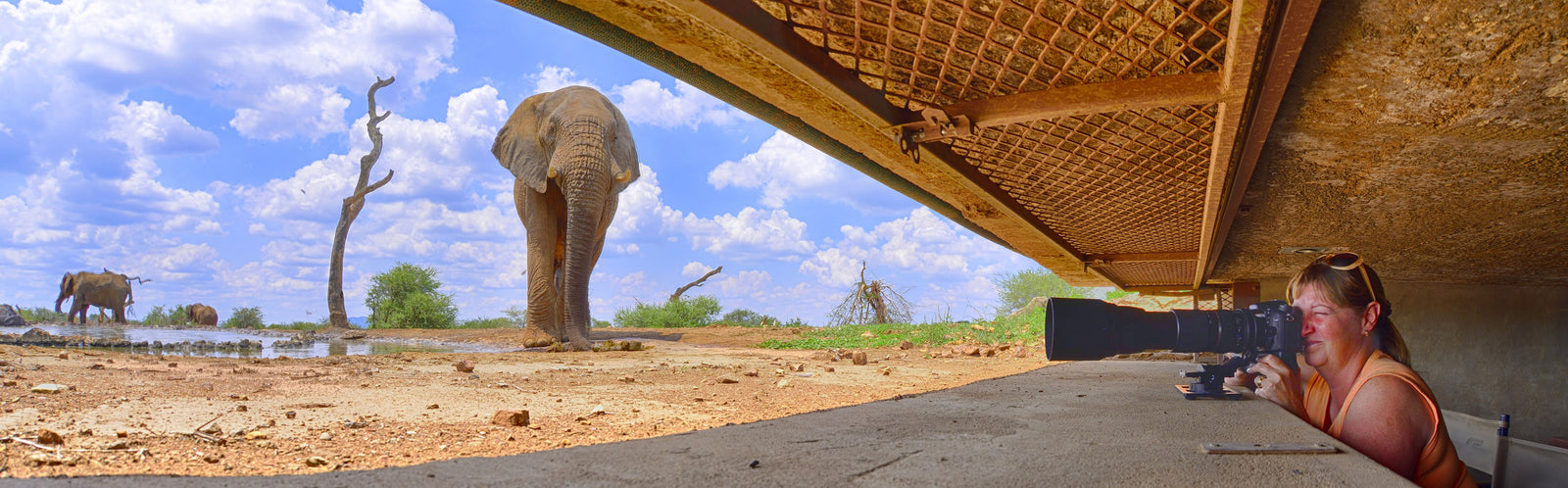 Last Word Madikwe