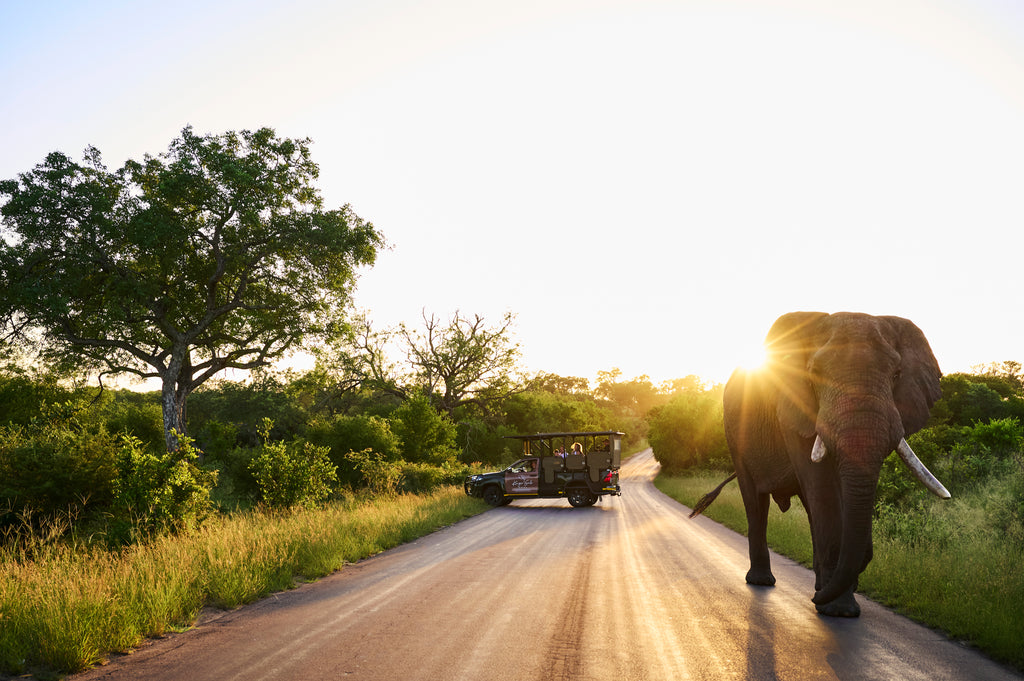 Kruger Gate Hotel Safari