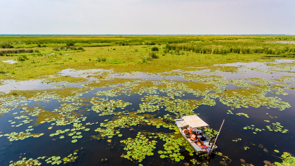 Semliki Safari Lodge