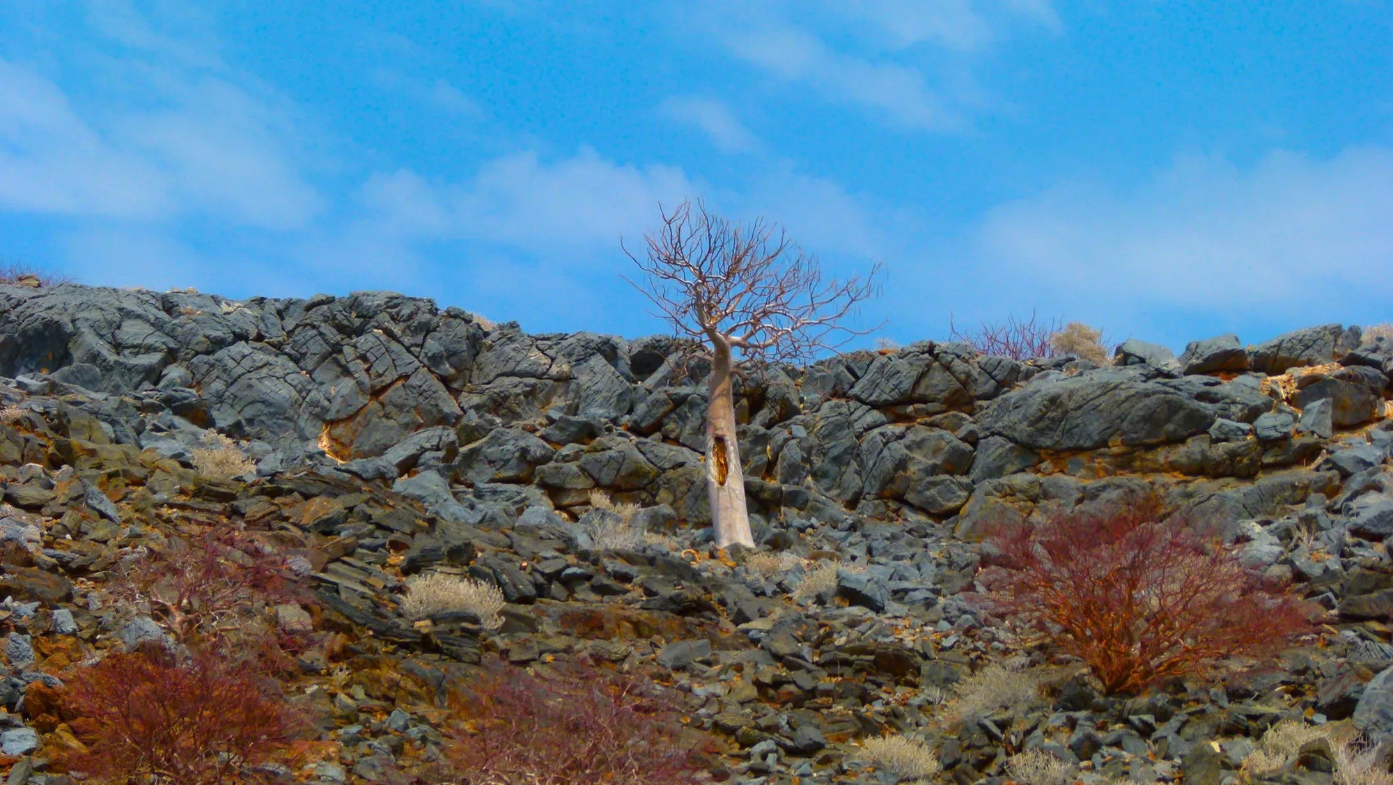 Featured image.