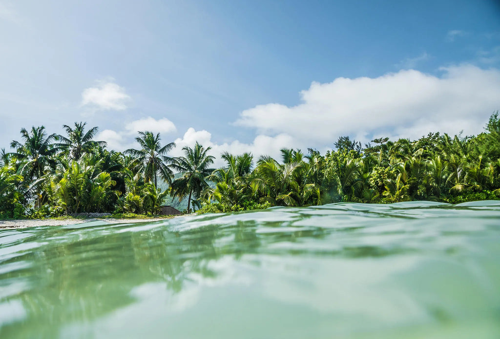 view from beach at Lou Lou Bungalows, Praslin Island, Seychelles.