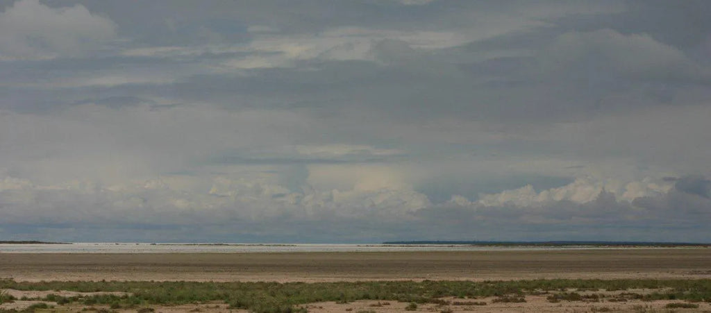 Etosha Pan at Etosha Pan, Etosha National Park, Namibia.