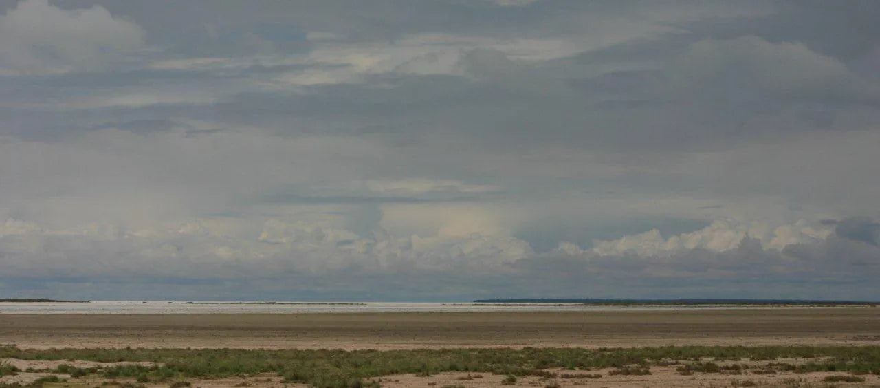 Etosha Pan at Etosha Pan, Etosha National Park, Namibia.