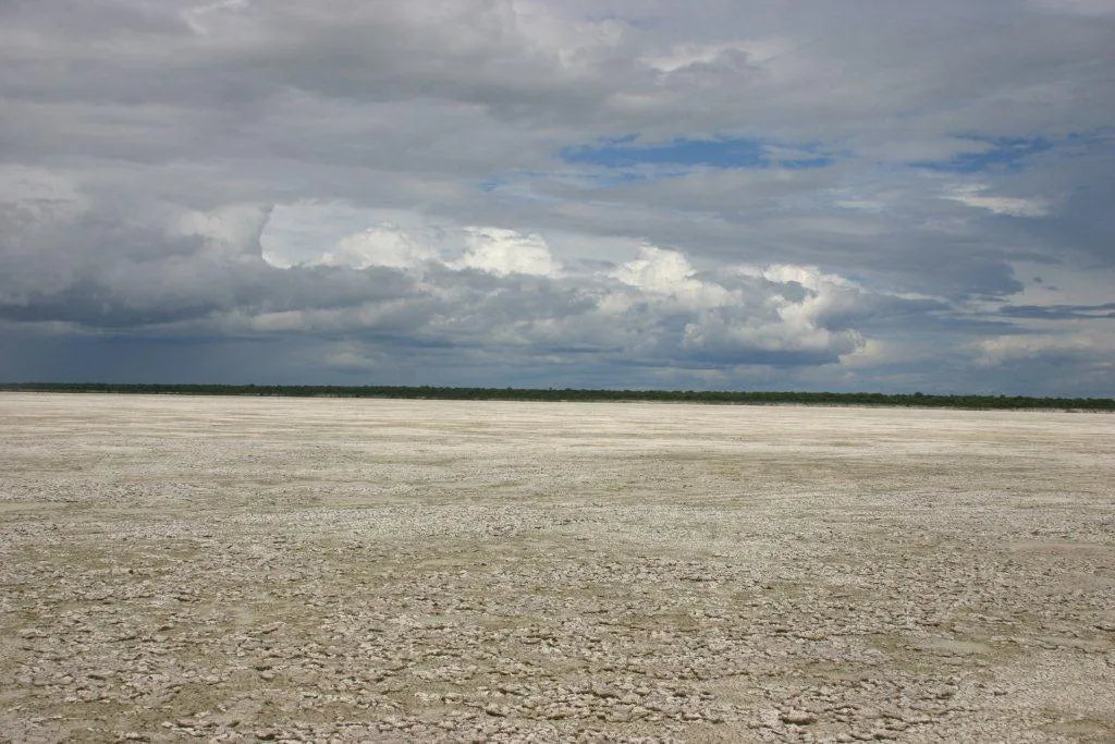 Etosha Pan at Etosha Pan, Etosha National Park, Namibia.