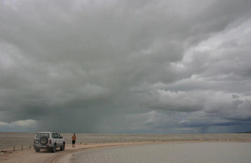 Etosha Pan - the last puddle at Etosha Pan, Etosha National Park, Namibia.