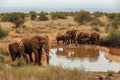 Water hole