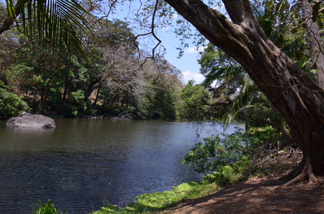 nature trails on the farm