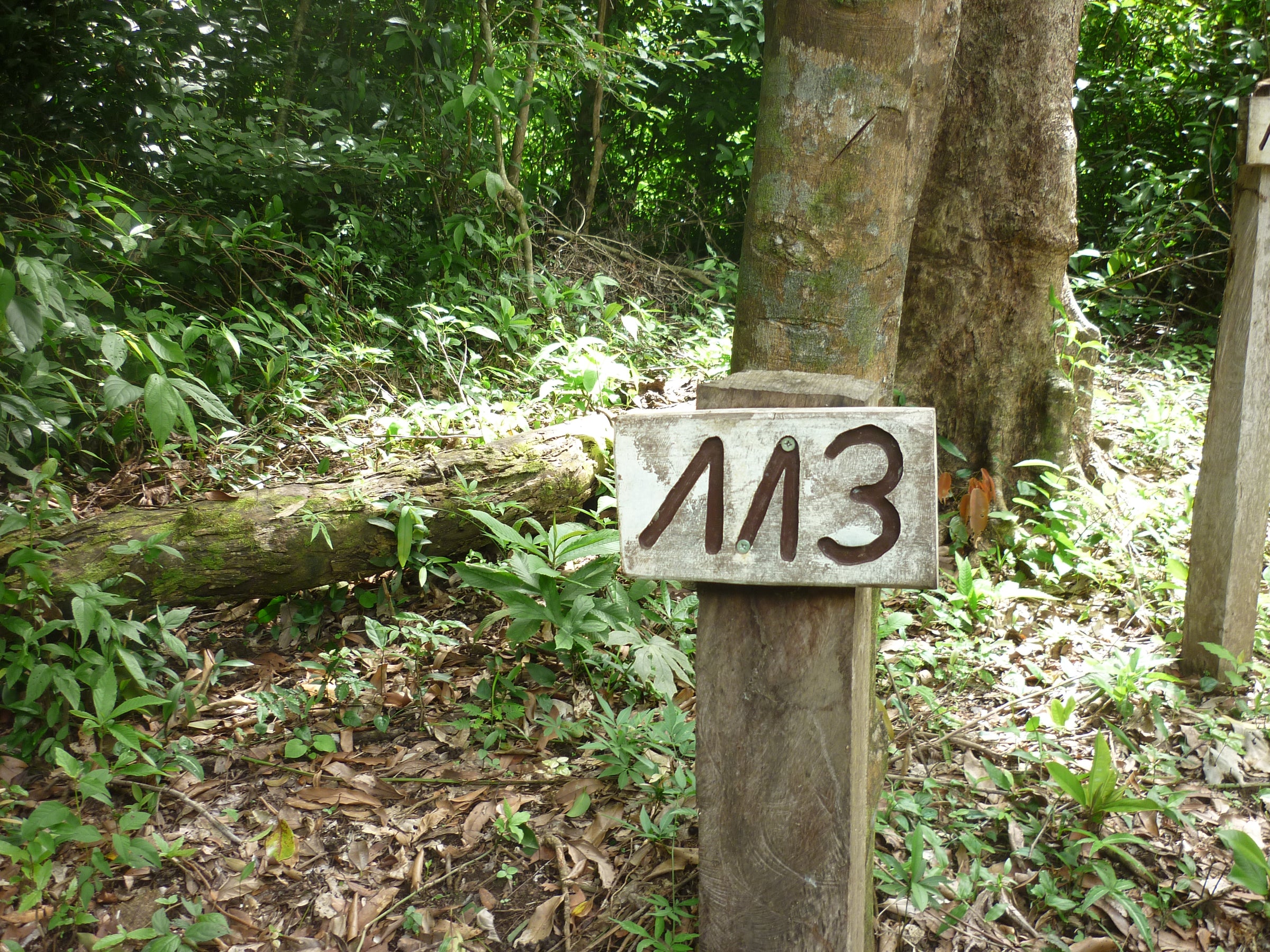 nature trails on the farm