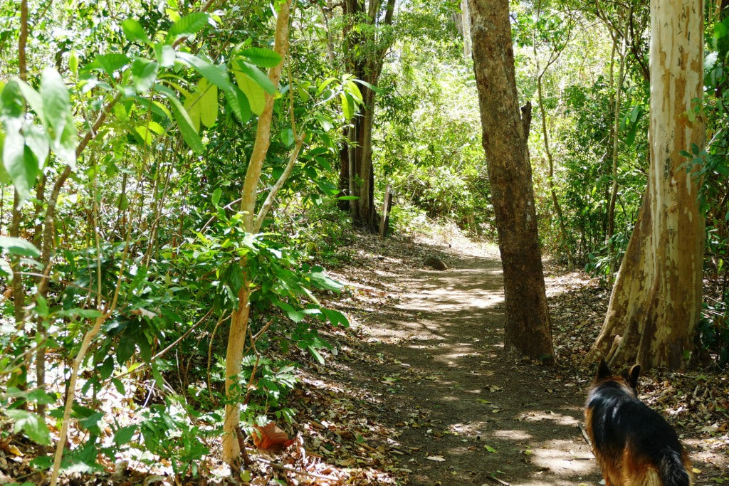 nature trails on the farm