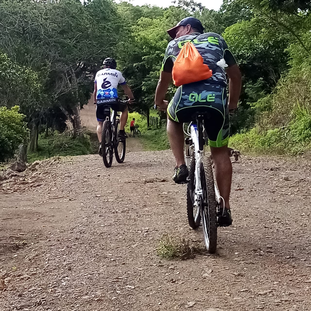 Hiking / Mountainbiking in the surroundings of the farm