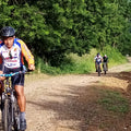 Hiking / Mountainbiking in the surroundings of the farm