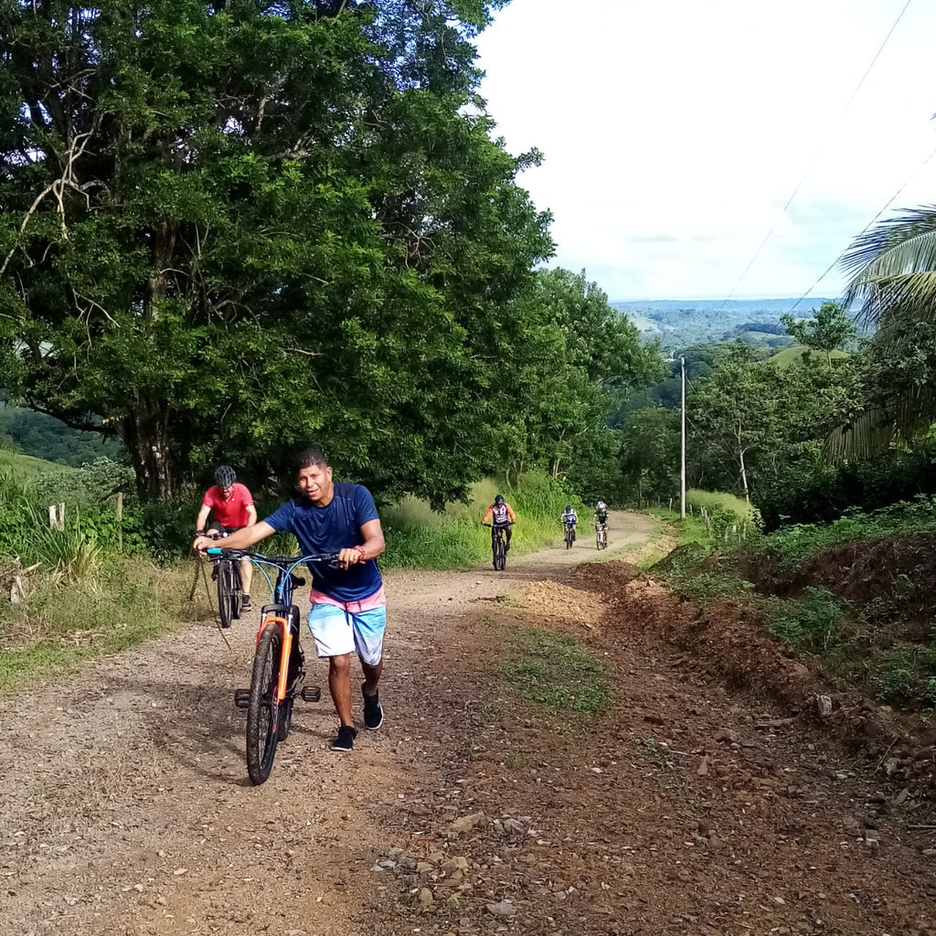 Hiking / Mountainbiking in the surroundings of the farm