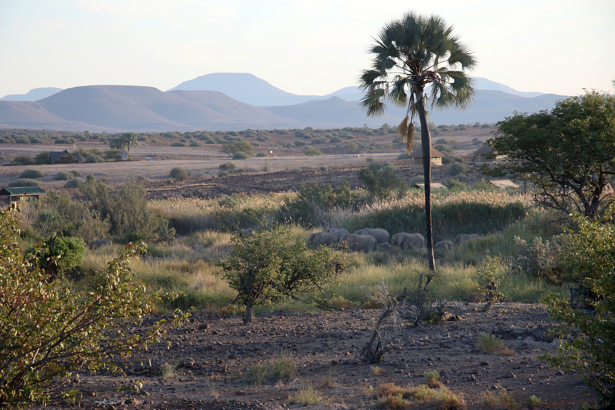 Palmwag Lodge Gondwana Collection Namibia