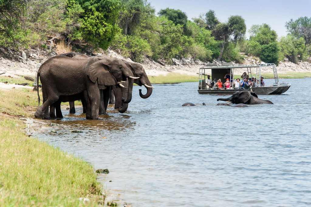 Suite at Zambezi Queen by Mantis, Chobe River Front Namibia, Namibia.