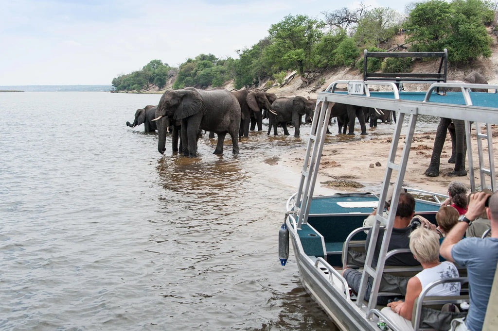 Zambezi Queen Crew at Zambezi Queen by Mantis, Chobe River Front Namibia, Namibia.