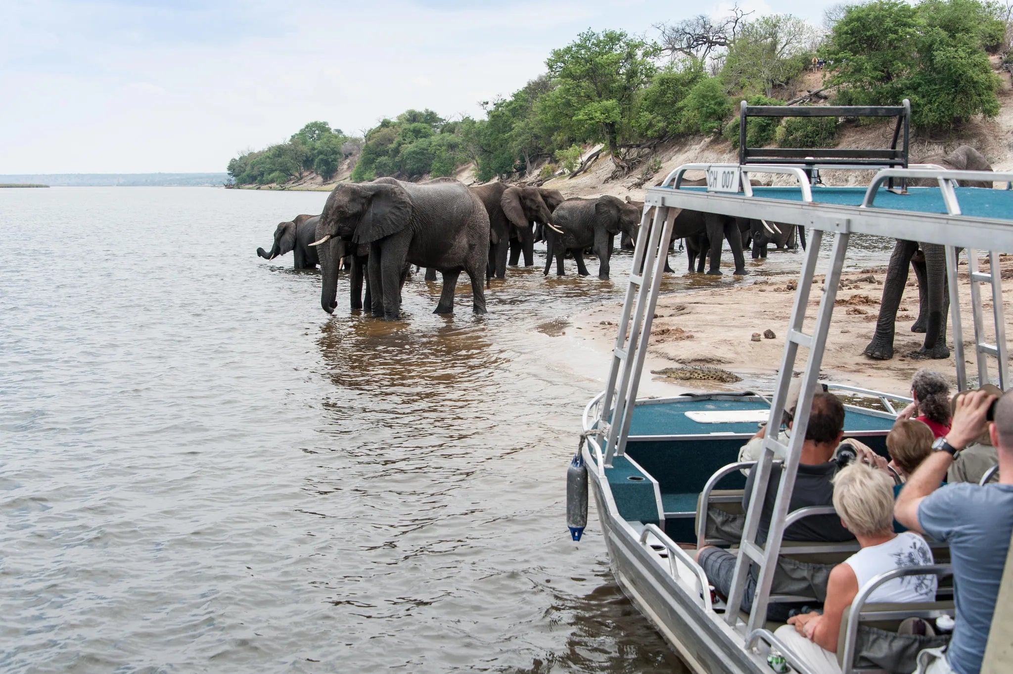 Zambezi Queen Crew at Zambezi Queen by Mantis, Chobe River Front Namibia, Namibia.
