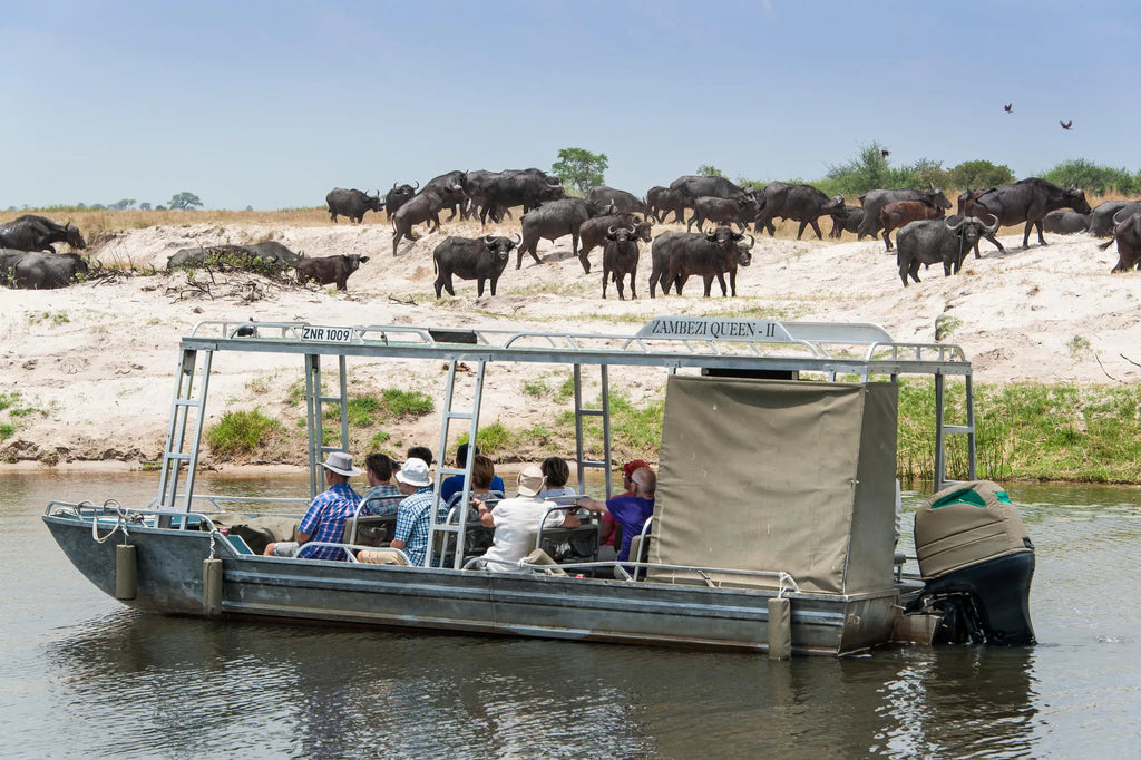 Gallery image 6.