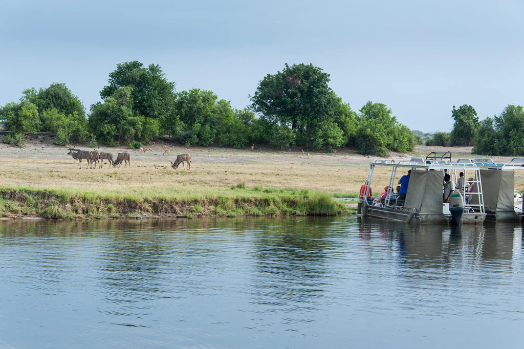 Game Viewing at Zambezi Queen by Mantis, Chobe River Front Namibia, Namibia.