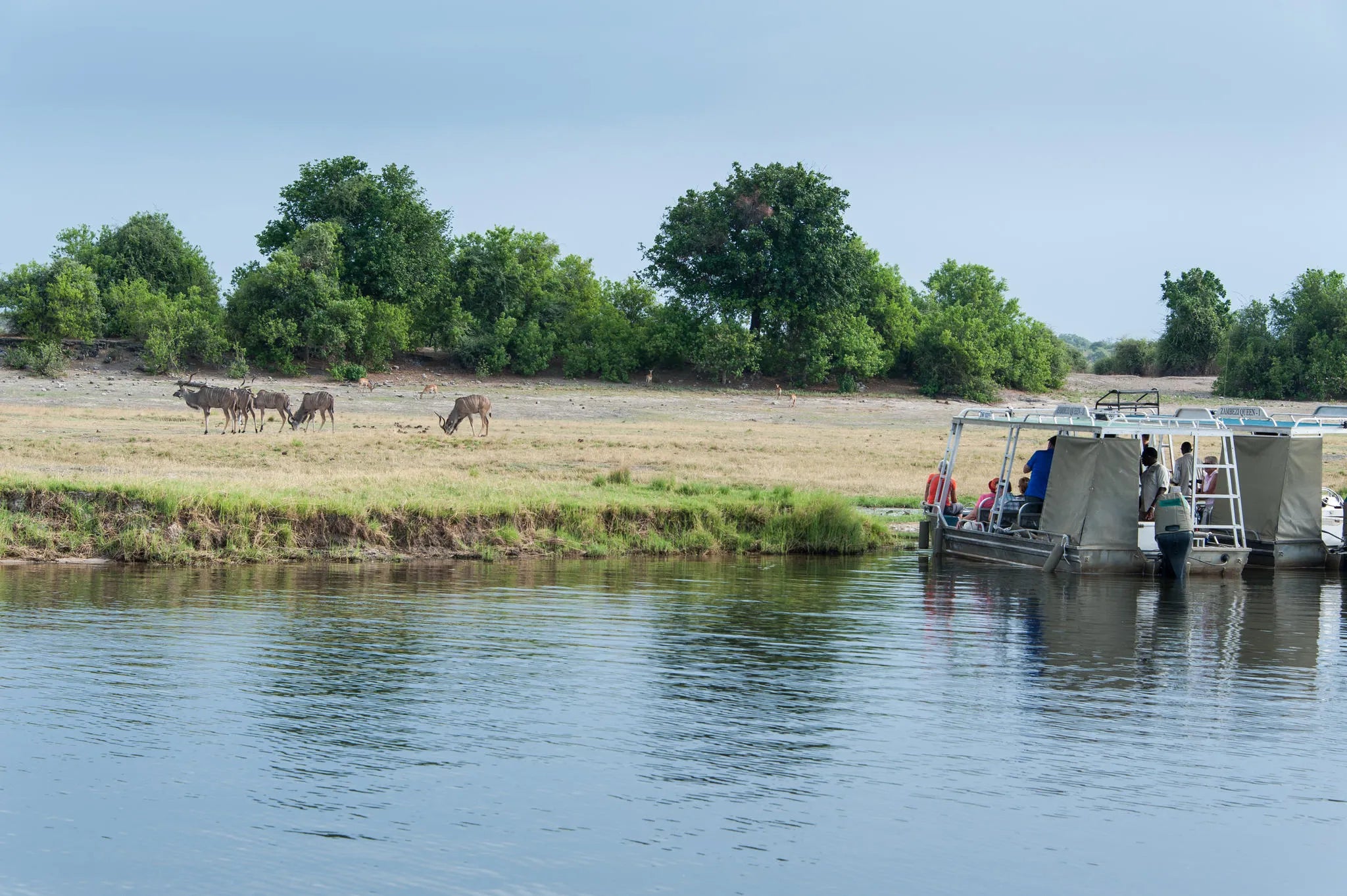 Game Viewing at Zambezi Queen by Mantis, Chobe River Front Namibia, Namibia.