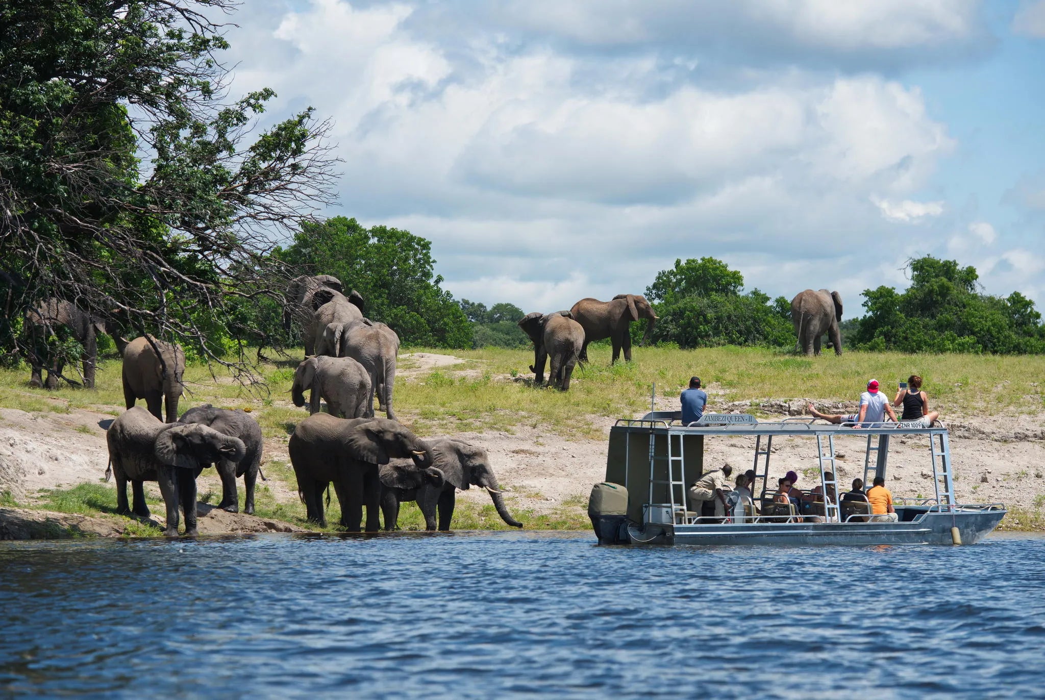 Game Viewing at Zambezi Queen by Mantis, Chobe River Front Namibia, Namibia.