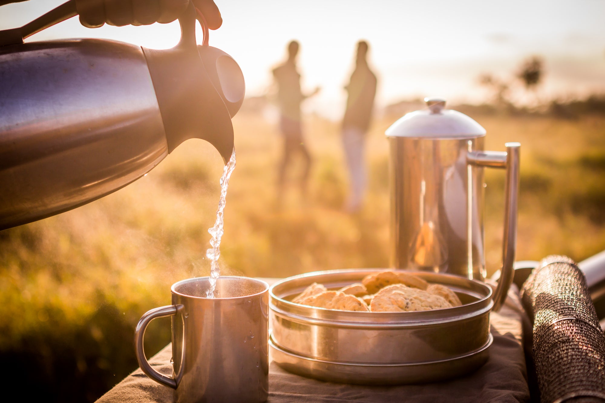 Morning Game Drive